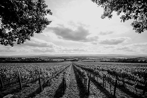 Our story - Nyetimber