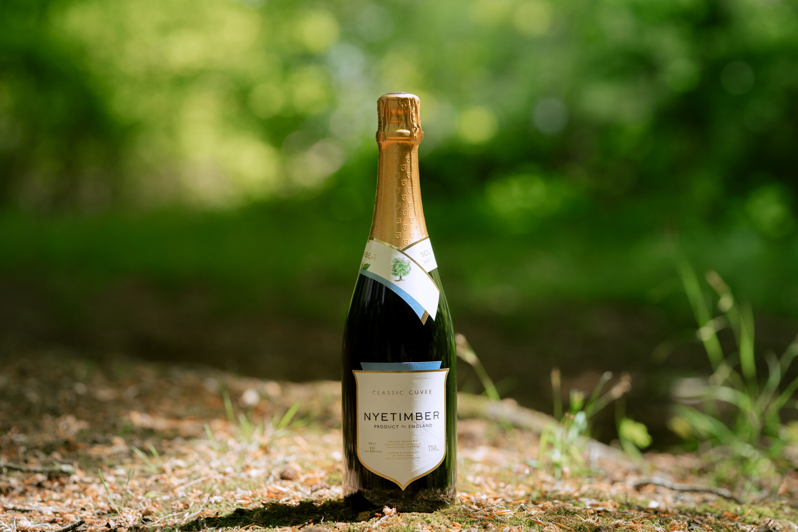 SouthDownsClassicCuvee_Forest1shot-scaled.jpg