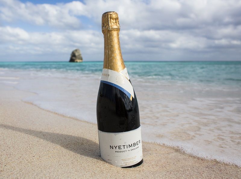 151019_BAR_Bermuda_006-1