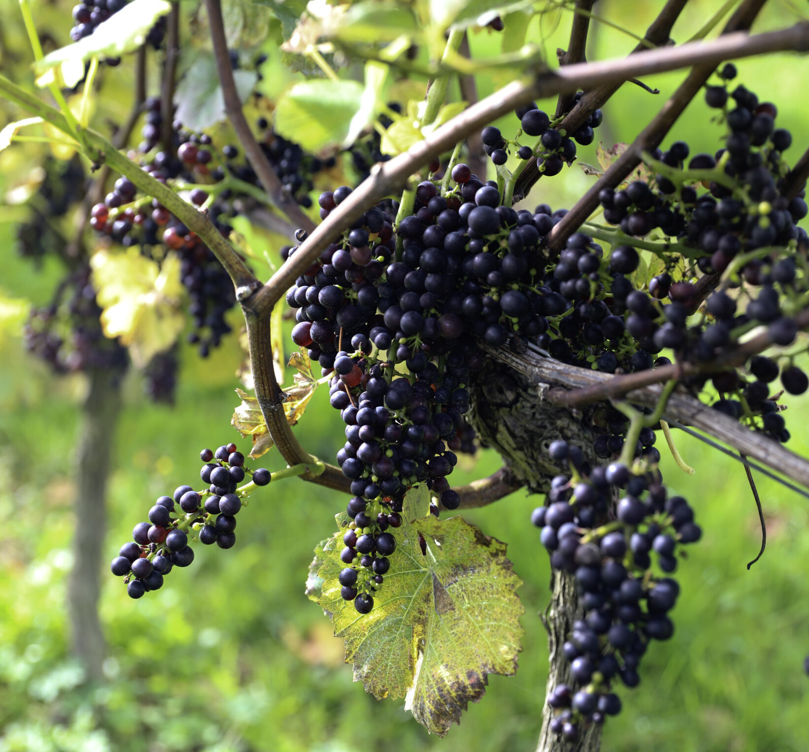 187A8938-e1730374330357