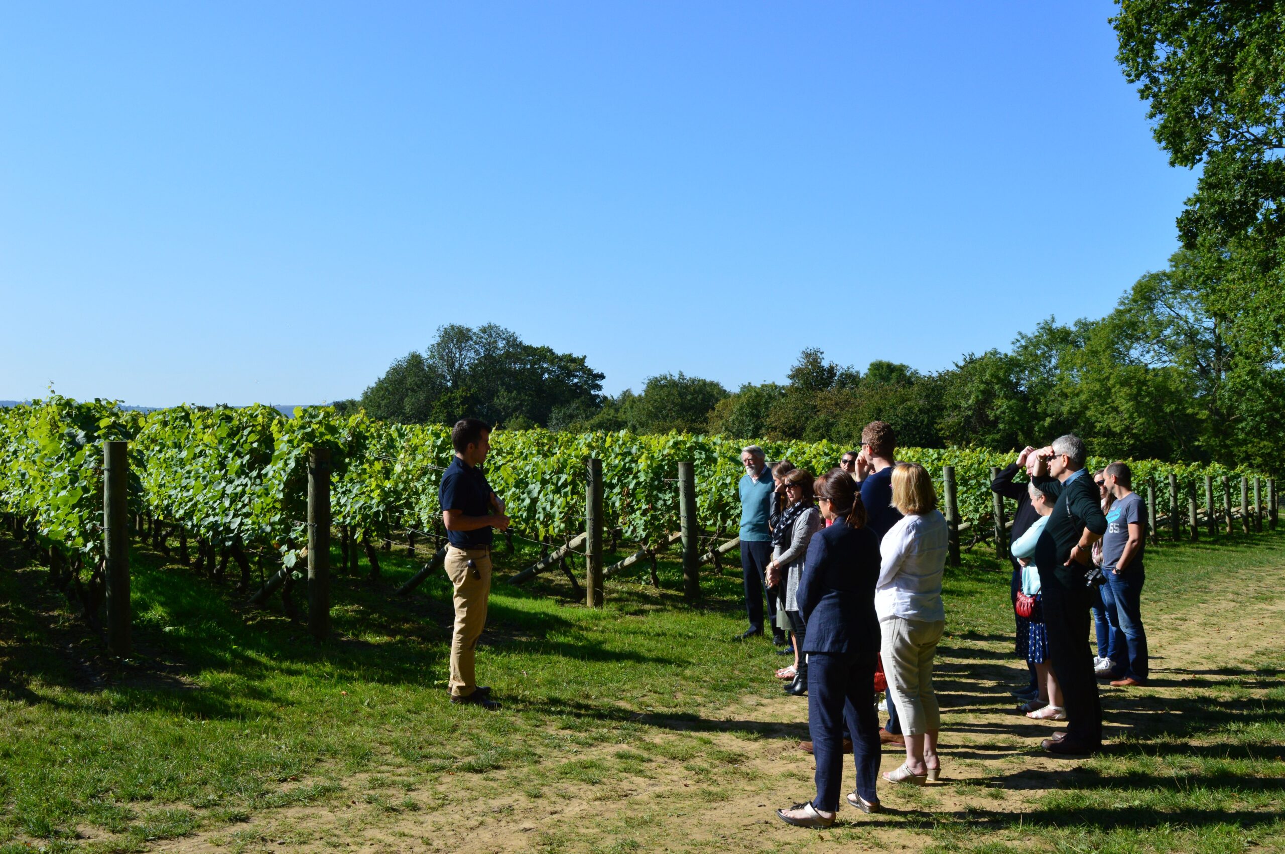 a small group of people listening to a talk in front of the vineyard fields 