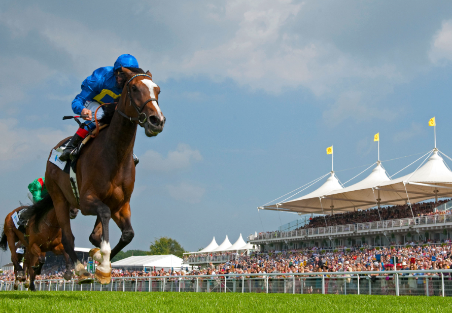 Goodwood-Horse-Journal-1-e1438694593658