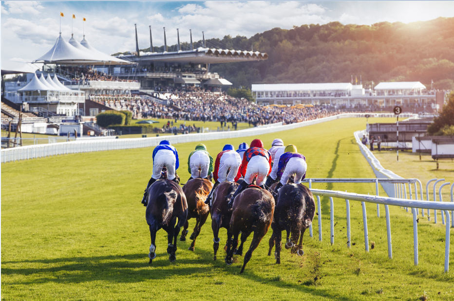 Goodwood Horses Lots Journal