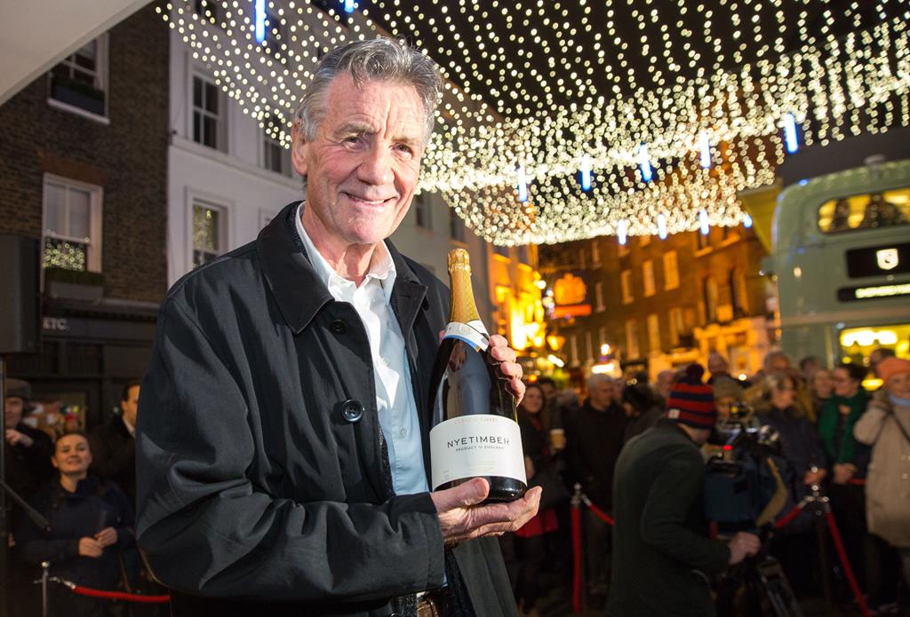 a man holding a bottle of wine, in front of a crowd of spectators, under christmas lights