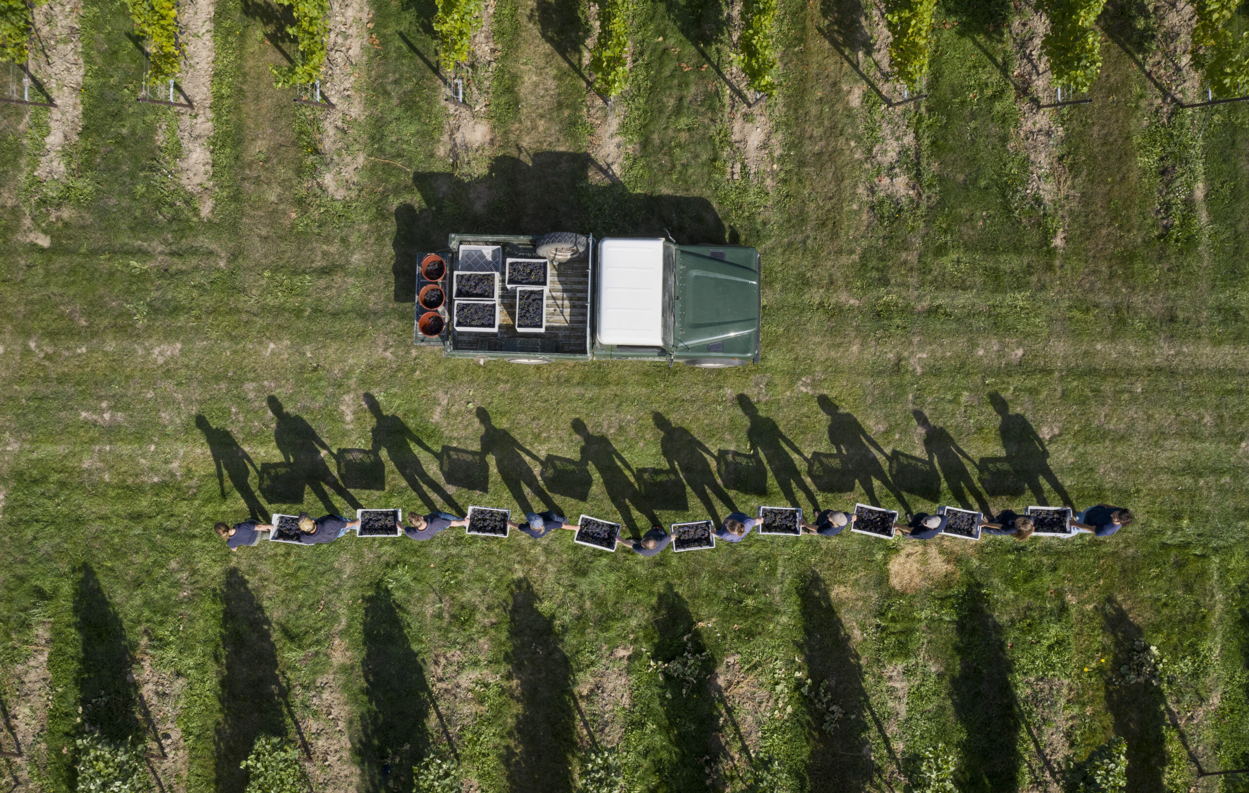 Nyetimber2020-08-scaled