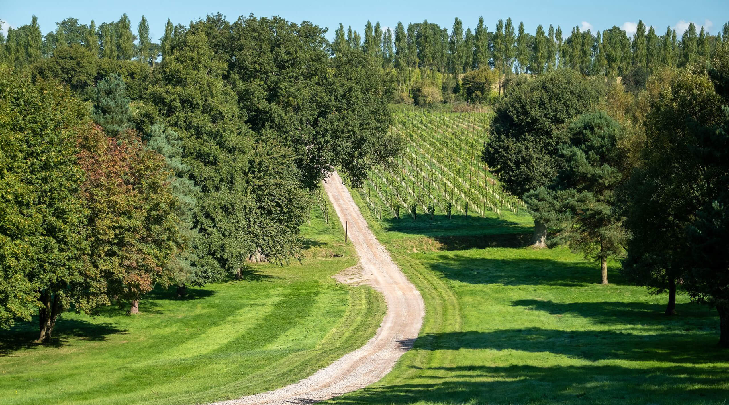 Nyetimber_Japan_Terroir