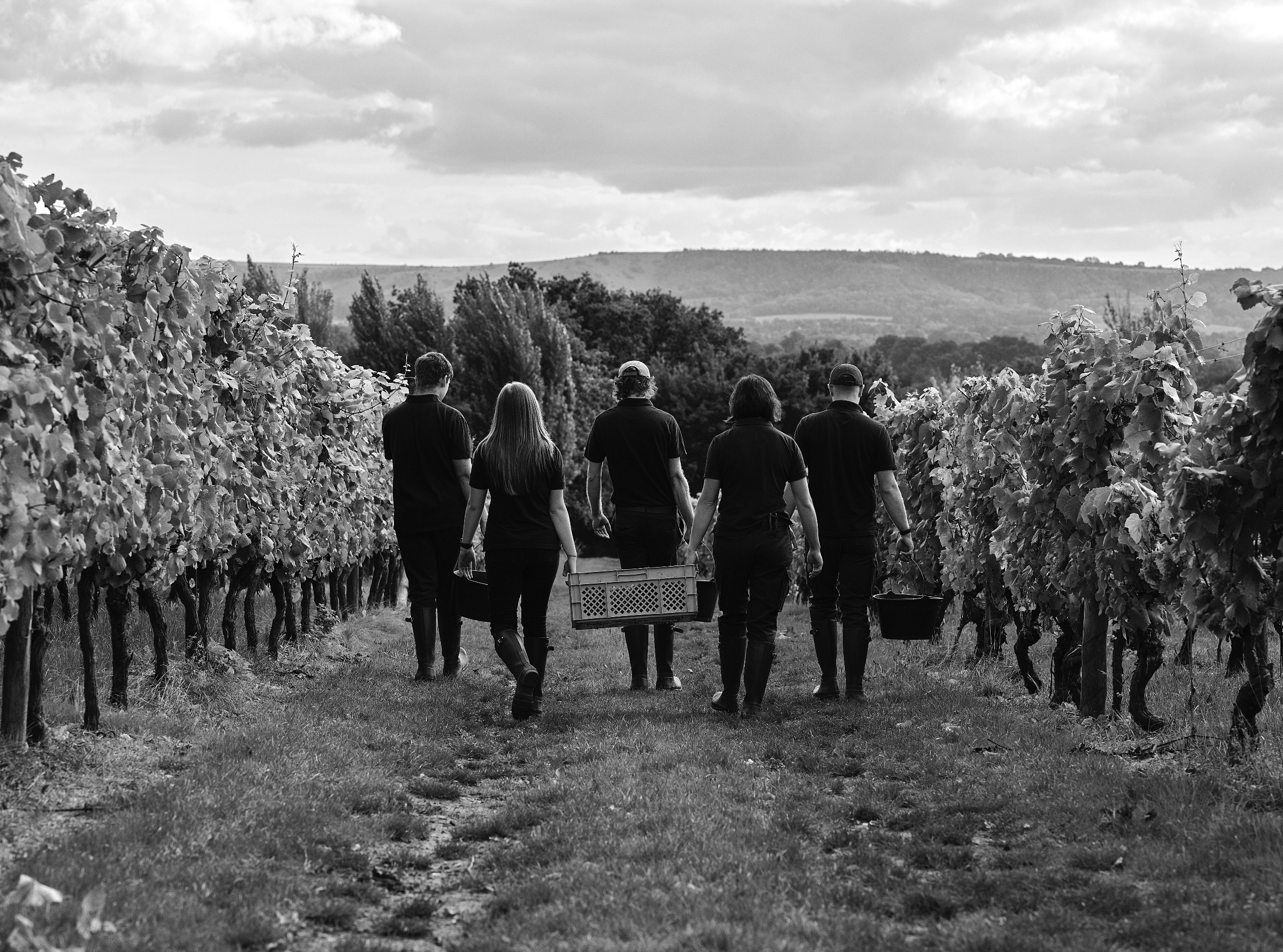 Screenshot-2023-02-22-at-15.50.04