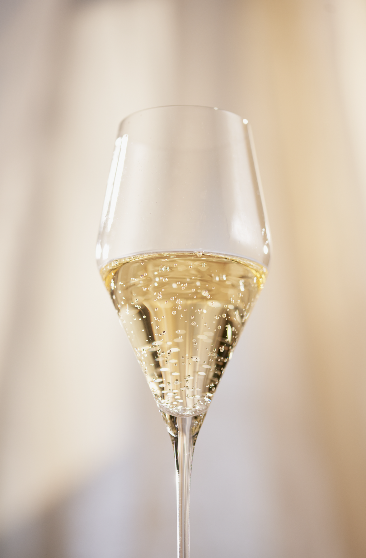 Screenshot-2023-02-27-at-16.42.27