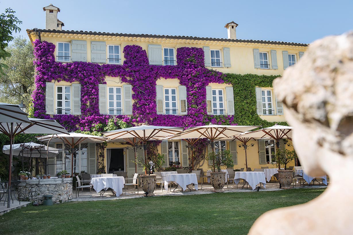 Terrasse-Camelia-Glycine-1