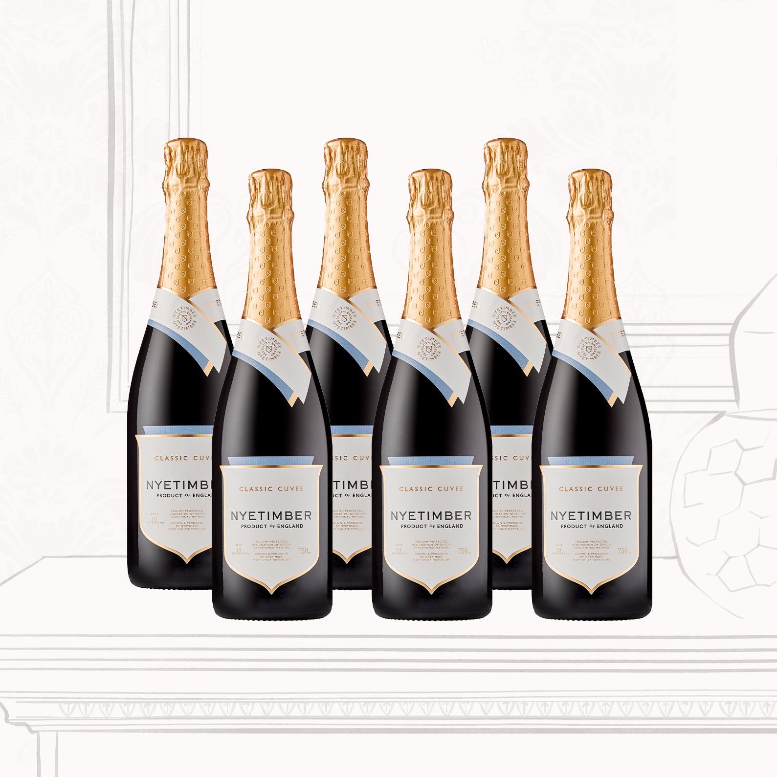 CCMV-SIX-BOTTLE-CASE_MOBILE