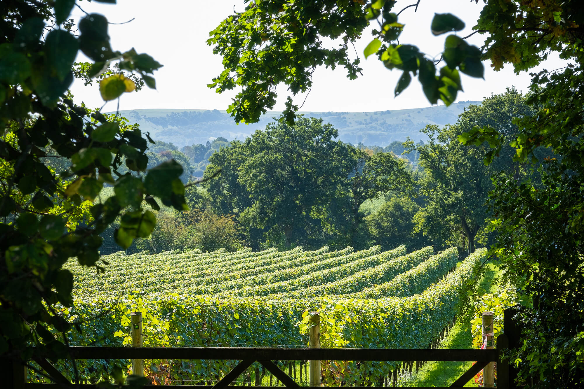 NYET18-13SEPT-074a-1