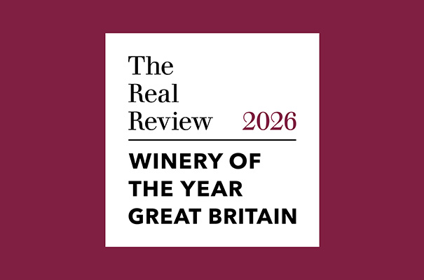 605×400-The-Real-Review