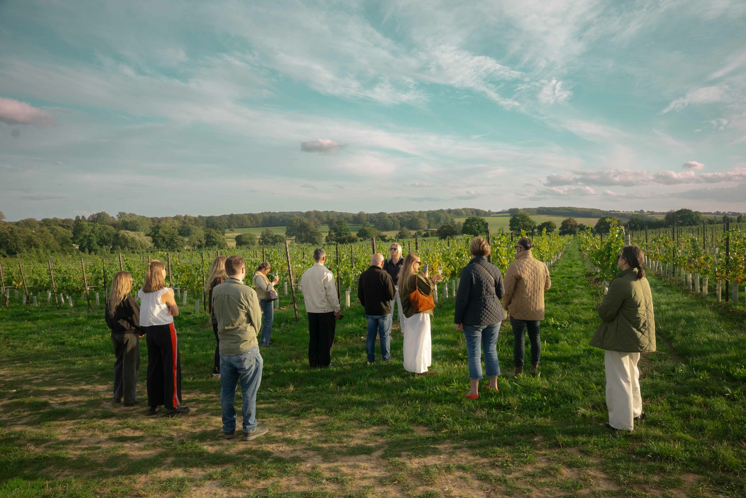 Locals Open Day – Nyetimber